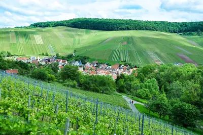 Weinberge um Strümpfelbach
