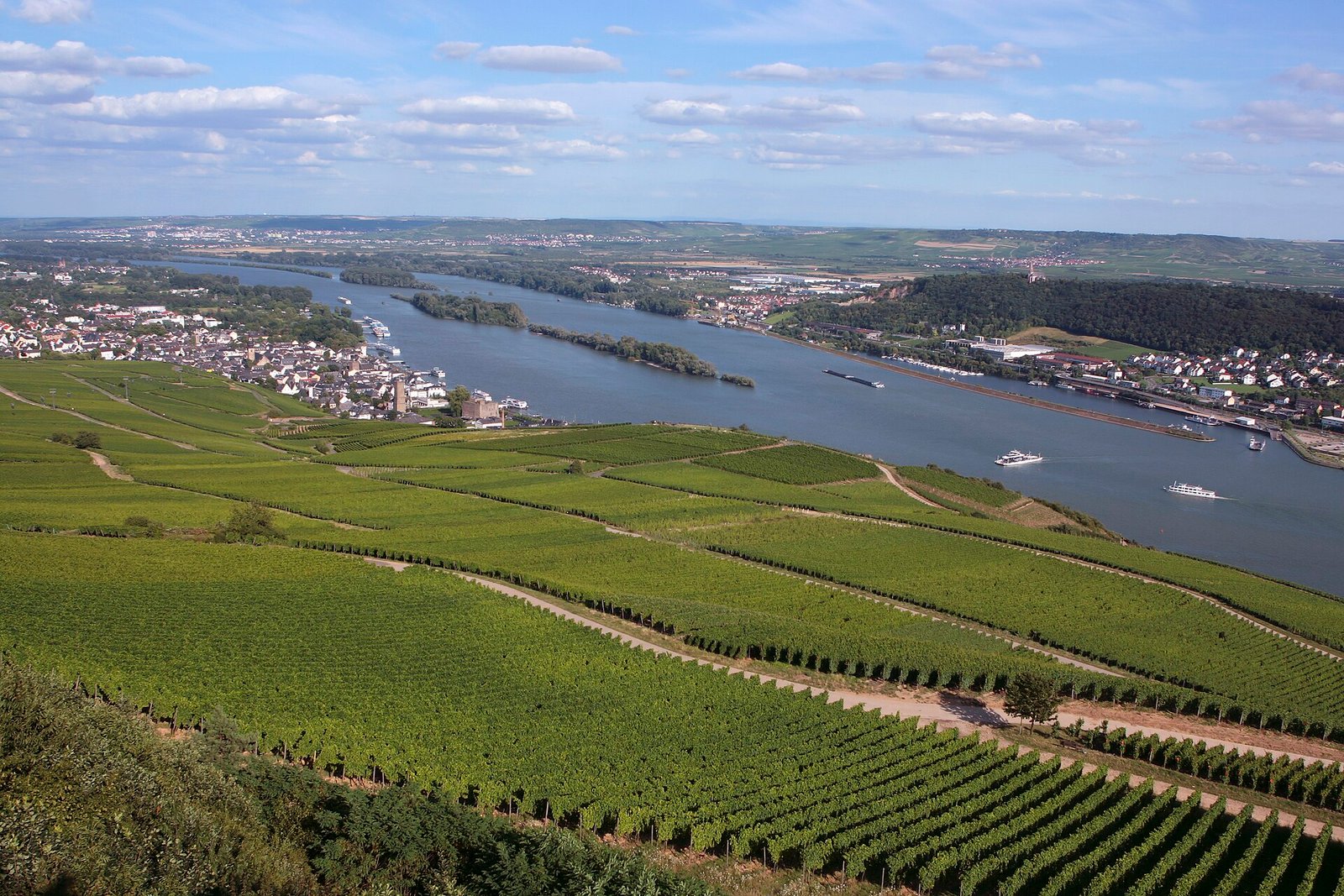Flughafentransfer Frankfurt Flughafen – Rüdesheim am Rhein Flughafentransfer Rüdesheim am Rhein – Weinberge im Rheingau