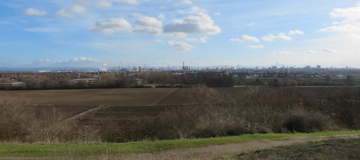 Frankfurt Airport to Ludwigshafen – Private Transfer with a Known Price View of the BASF site on the Rhine in Ludwigshafen, destination of a transfer from Frankfurt Airport